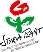 Ein schwarzer Hintergrund mit einem grünen und roten Logo, das 'STRIA PLANT' liest. Das Logo zeigt ein stilisiertes Blatt mit einem roten 'S' und einem grünen 'P'. Unter dem Logo steht der Text 'Der Professionellste für Wiederaufbau'.