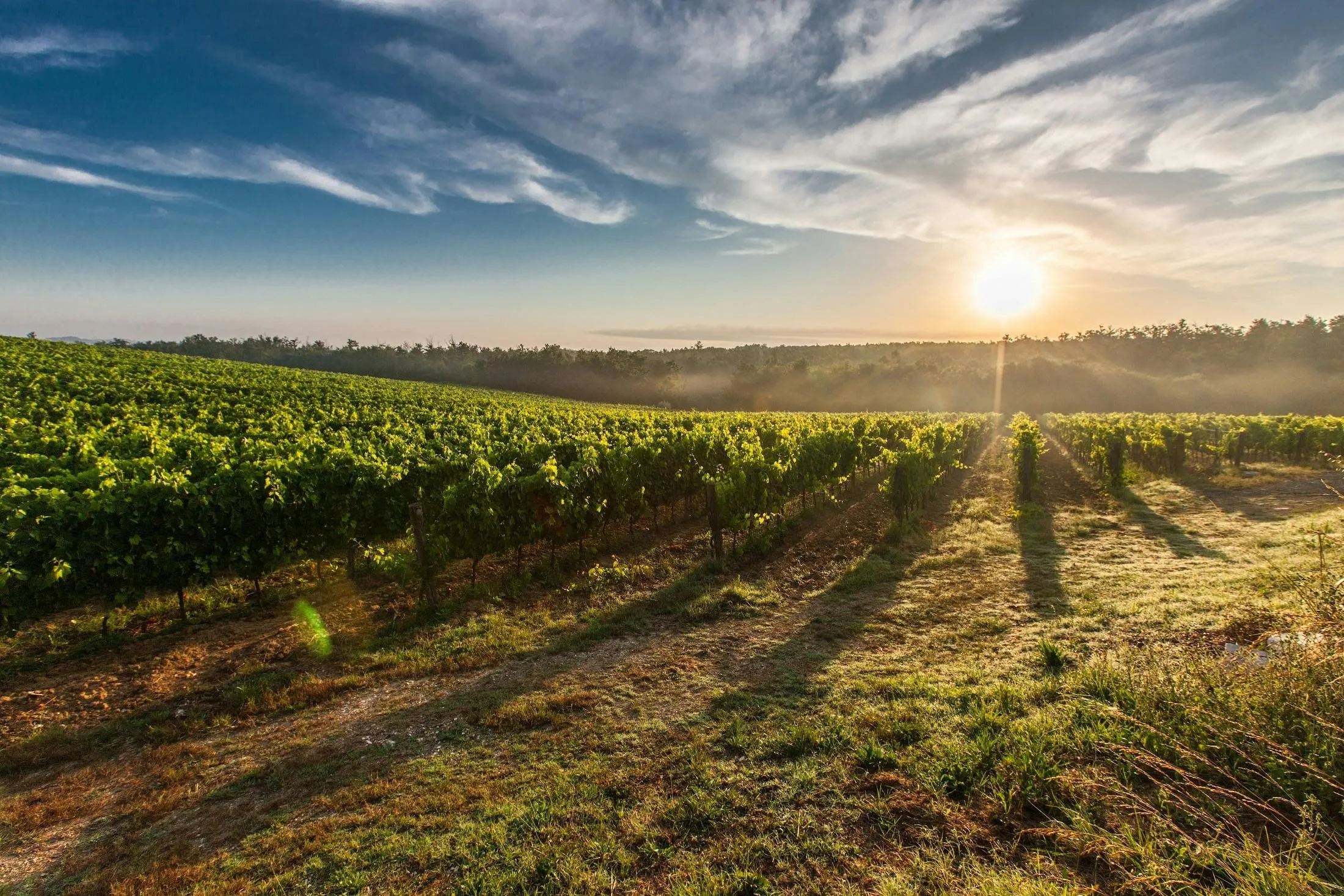 Nature, Outdoors, Sky, Countryside, Rural, Sun, Farm, Scenery, Horizon, Field