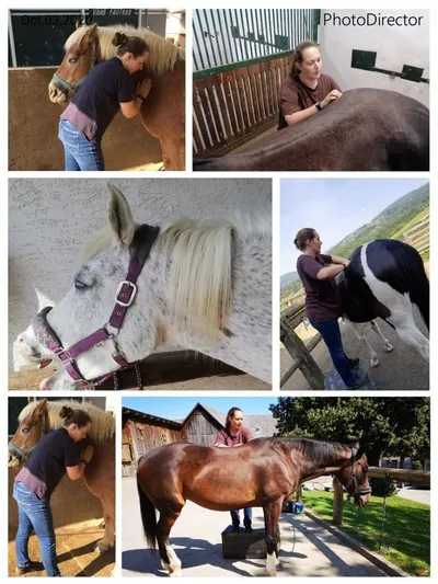 Colt Horse, Horse, Mammal, Person, Jeans, Halter, Face, Portrait, Outdoors, Shoe