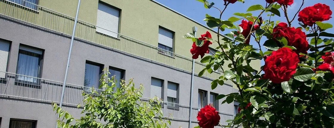 City, Flower, Rose, High Rise, Urban, Neighborhood, Apartment Building, Condo, Housing, Office Building