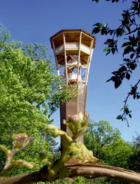 Ein hoher hölzerner Aussichtsturm mit mehreren Plattformen und Geländern steht inmitten eines üppigen Waldes, umgeben von leuchtend grünen Blättern und klarem blauen Himmel.