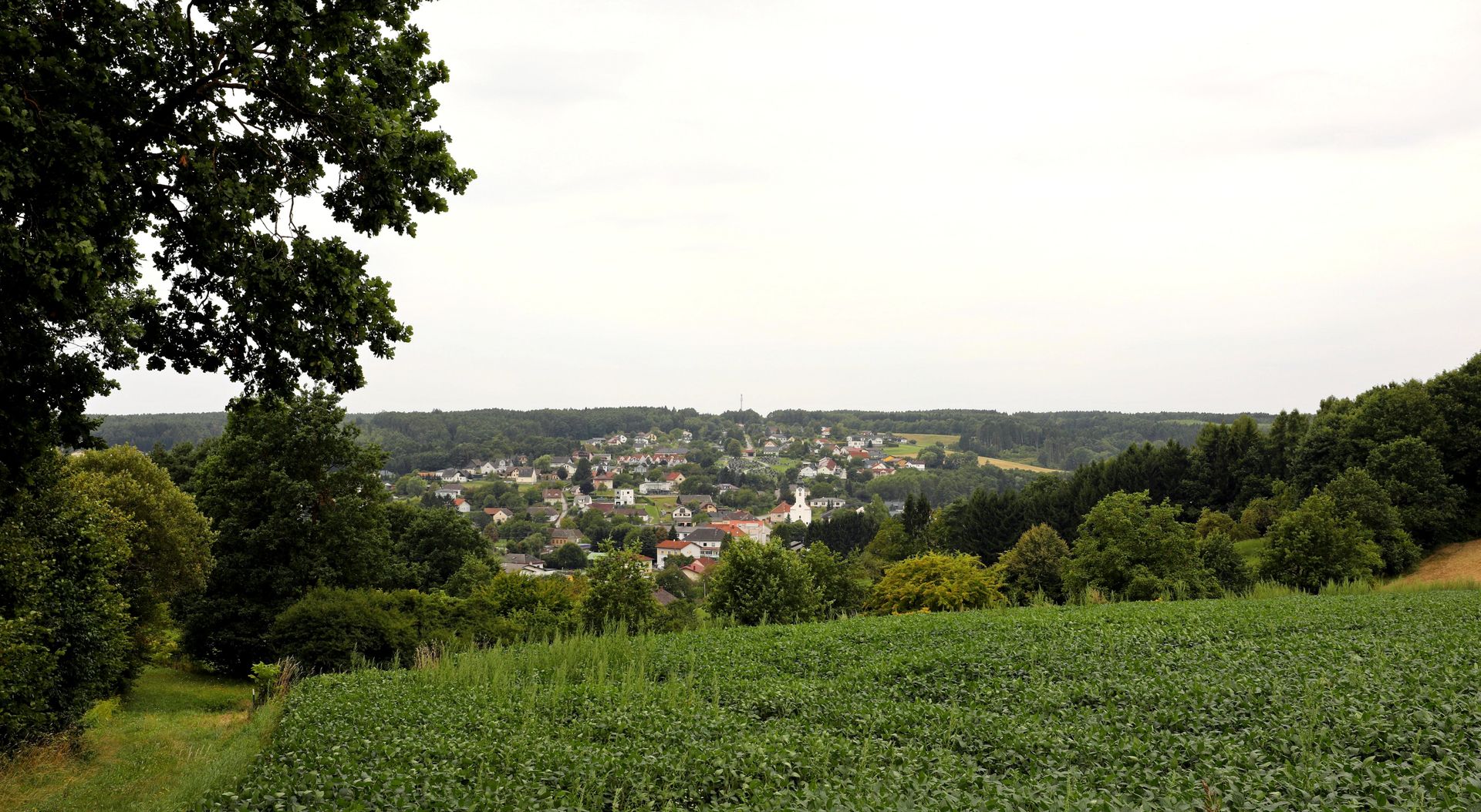 website banner