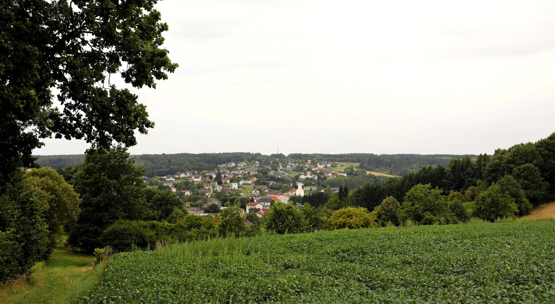 website banner