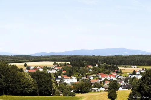 Luftaufnahme eines Dorfes mit Häusern, Bäumen und Bergen im Hintergrund.