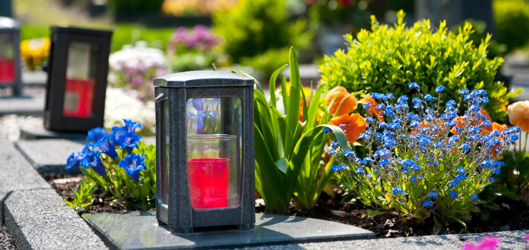 Eine kleine Gartenlaterne mit einer roten Kerze darin steht auf einer Steinplatte, umgeben von verschiedenen Blumen und Pflanzen.