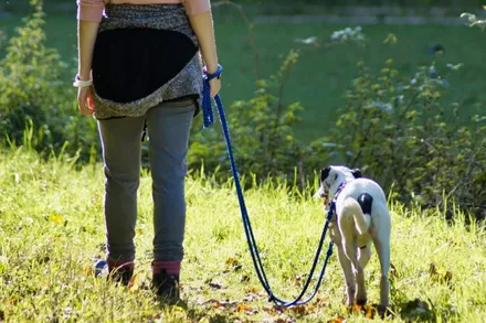 Eine Person, die einen kleinen Hund an der Leine in einem Grasfeld spazieren führt. Die Person trägt einen Rock und Stiefel.