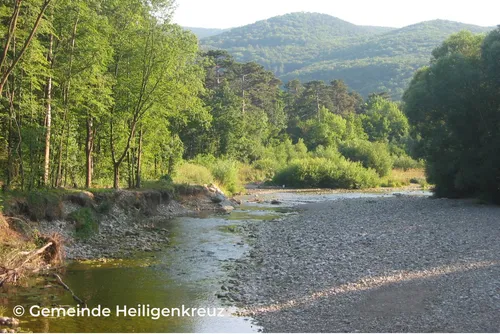 Ein ruhiger Fluss fließt durch ein üppiges, grünes Tal mit felsigen Ufern und einem bergigen Hintergrund.