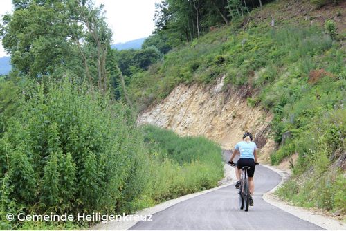 Eine Person fährt mit einem Fahrrad bergab auf einer Straße. Die Straße hat eine steile Steigung mit Gras und Bäumen an den Seiten. Die Person trägt einen Helm und Radshorts.