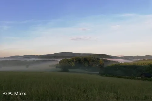 Eine friedliche Landschaft mit einer weiten Fläche grüner Felder, einigen Bäumen und Bergen in der Ferne. Der Himmel ist klar und blau, mit einem Hauch von Nebel in der Nähe der Berge.