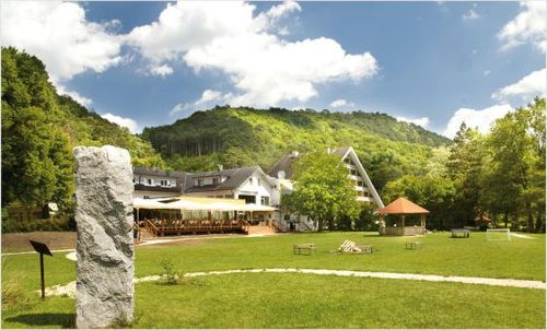 Ein landschaftliches Hotel mit Terrasse und Sitzgelegenheiten im Freien, umgeben von einem grünen Rasen und einem großen Felsen. Bäume und ein Berg sind im Hintergrund.