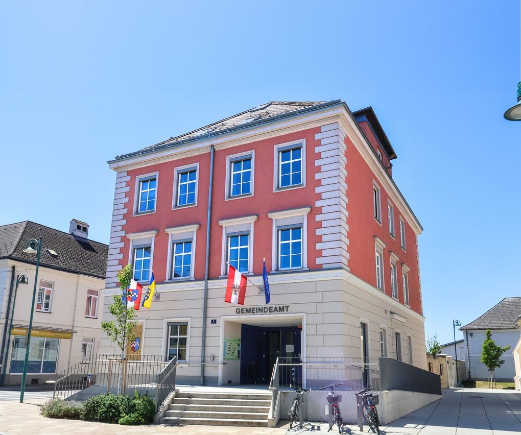 section-image