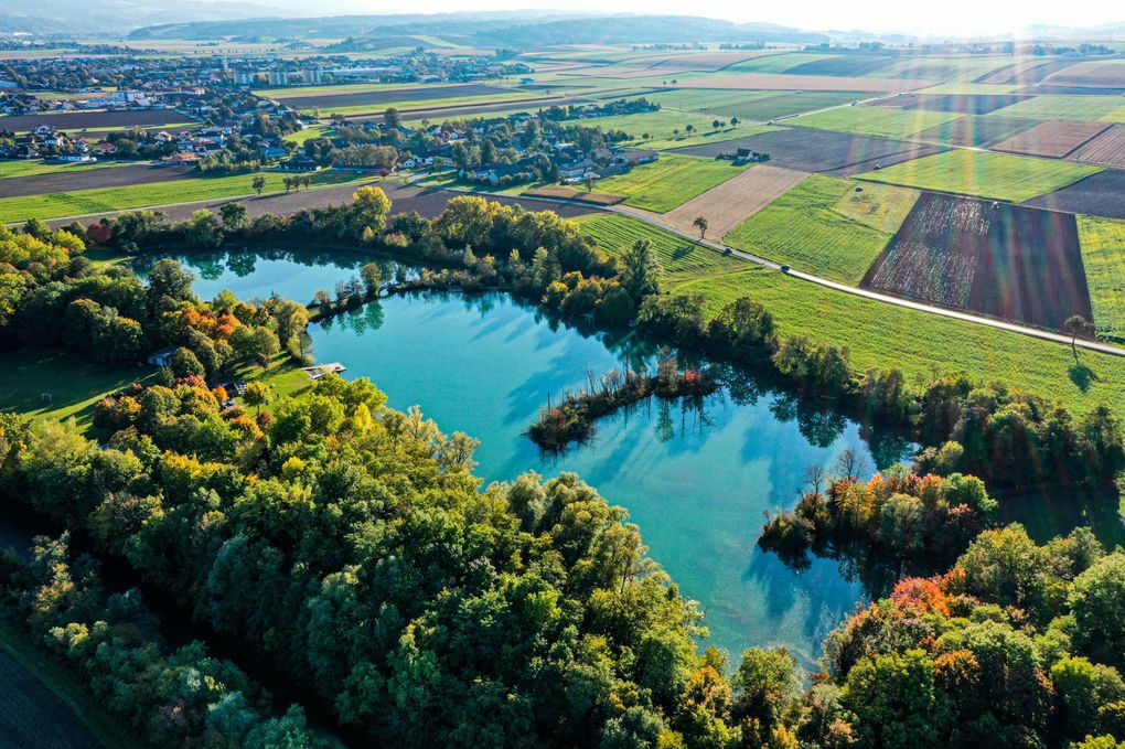 section-image