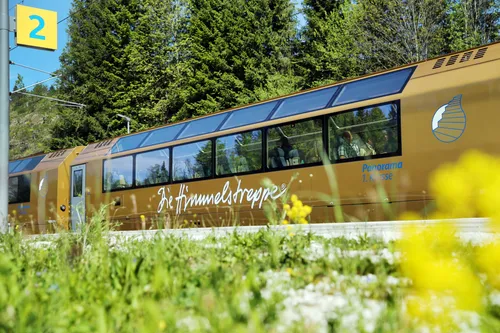 Ein goldfarbener Panoramazug mit weißen Schriftzügen auf der Seite, der durch einen grünen Wald fährt. Passagiere sind im Inneren zu sehen.