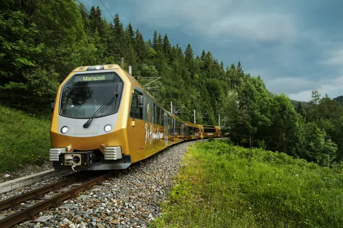 Ein goldener Zug mit der Aufschrift Mariazell fährt auf einer Strecke, umgeben von grünen Bäumen und Gras.