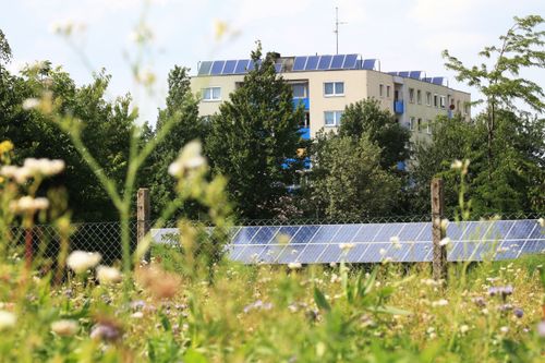 Ein Gebäude mit Solarpanelen auf dem Dach und Solarpanelen auf dem Boden, umgeben von Bäumen und Gras.