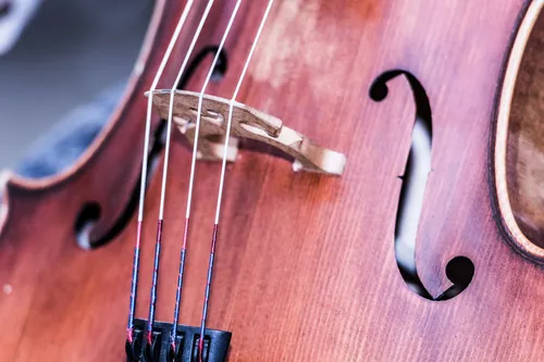 Nahaufnahme des Cellohalses, der Saiten und Wirbel. Der braune Holzkorpus der Violine ist prominent, mit einem schwarzen F-Loch.