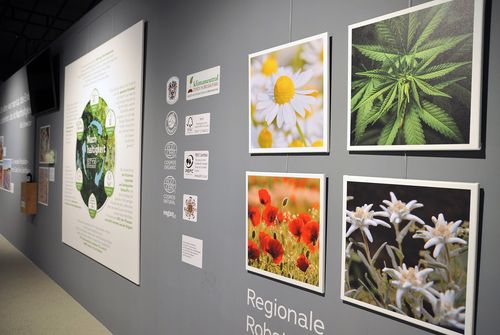 An einer grauen Wand sind verschiedene gerahmte Bilder und Poster aufgehängt, darunter Bilder von Blumen und Cannabisblättern. Mehrere Zertifizierungsaufkleber sind angebracht, einschließlich 'Ecocert' und 'Cosmetic Natural'. Ein weißer Banner mit der Aufschrift 'Regionale Rohstoffe'.