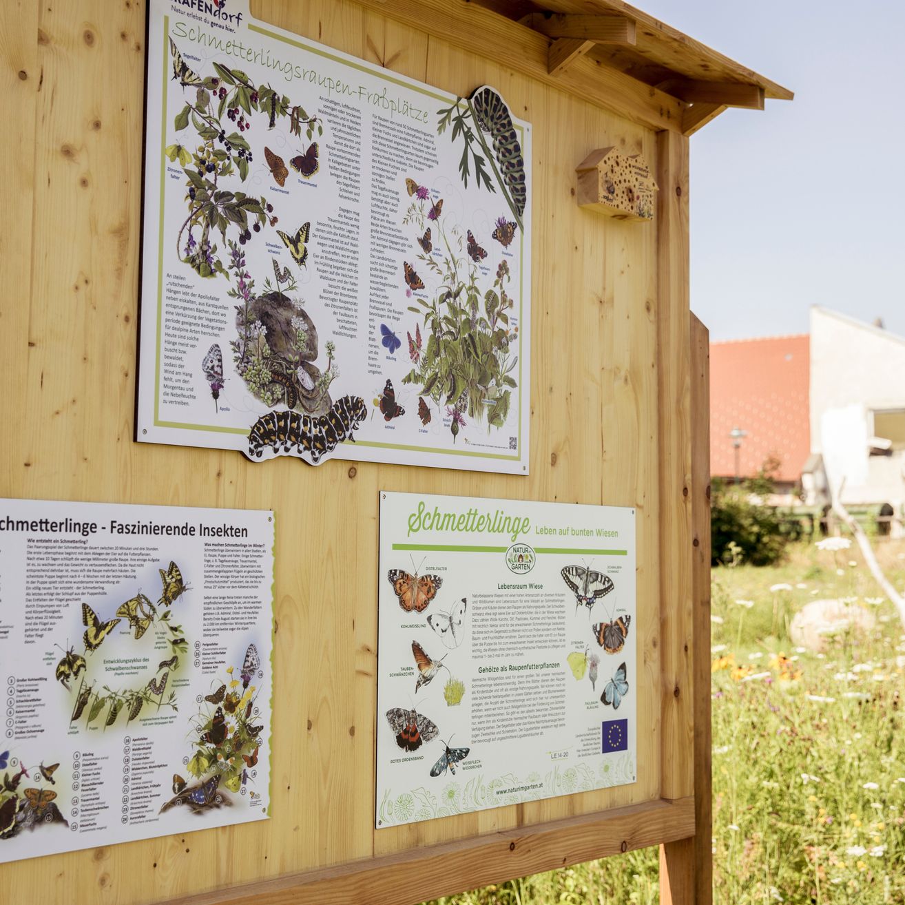 Ein holzverkleideter Außenschuppen mit Infotafeln, die Schmetterlinge und Pflanzen zeigen. Der Schuppen hat ein Dach und ist von einem Feld mit Blumen umgeben.