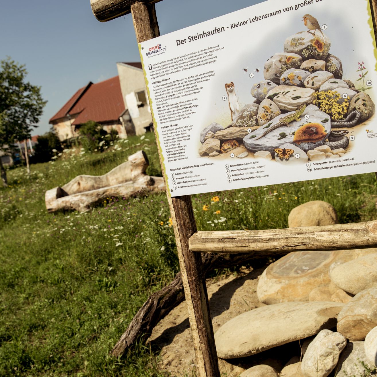 Ein Informationsschild zeigt ein Diagramm mit Steinen, Pflanzen und Tieren, das in einem Feld mit weiteren Steinen und einem Haus im Hintergrund steht.