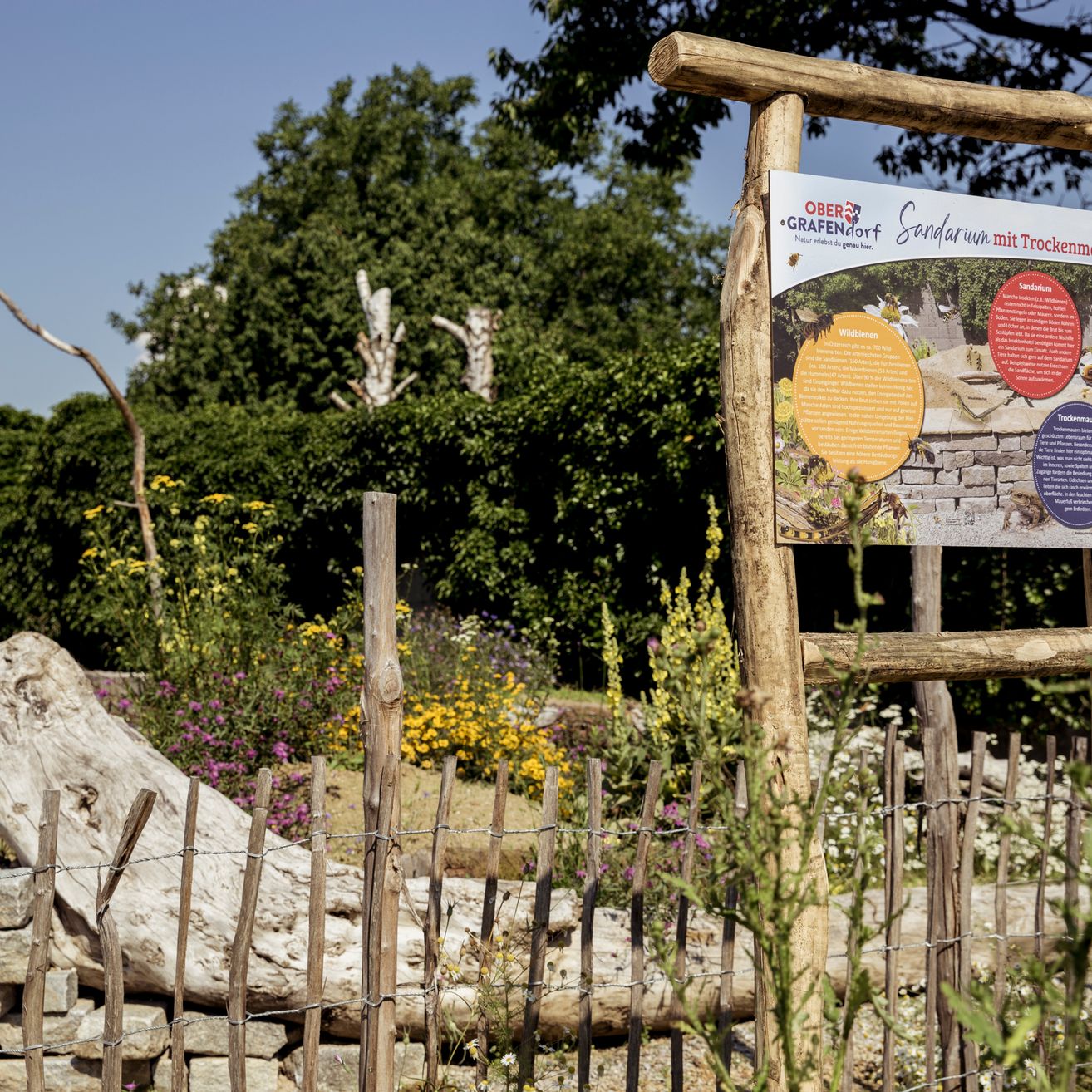 Ein Informationsschild mit hölzerne Rahmen in einem Garten mit verschiedenen Blumen und einer Steinmauer.
