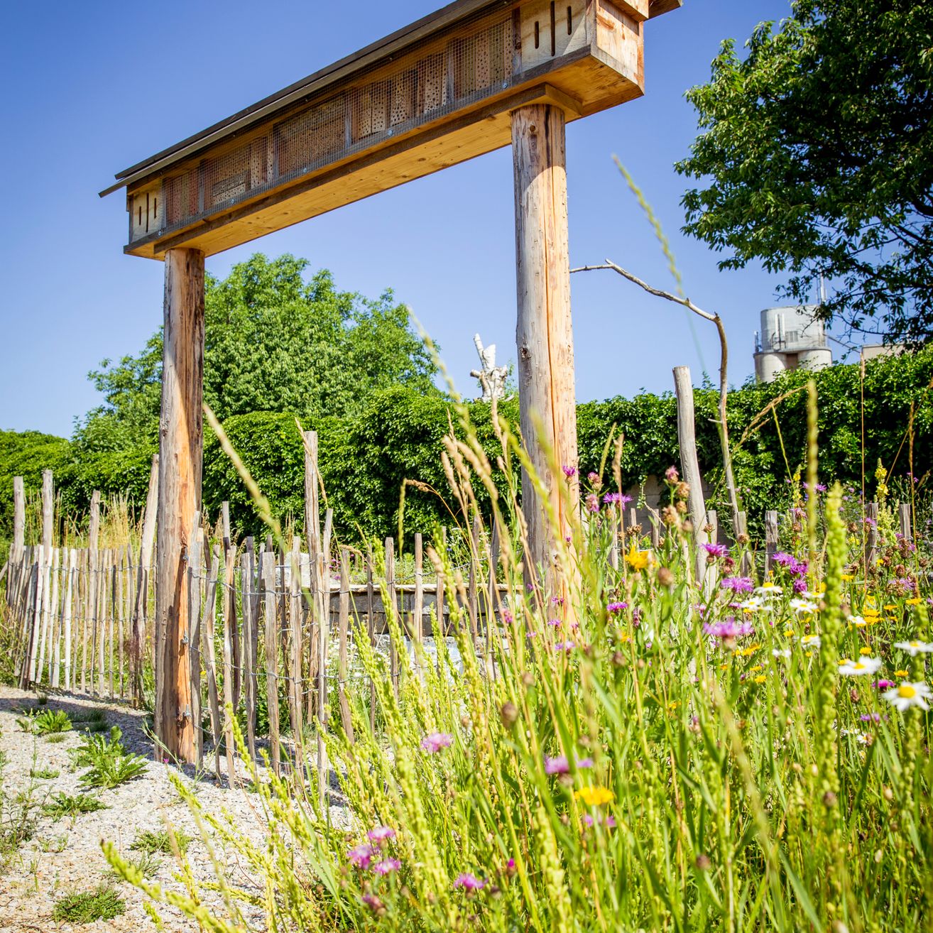 Ein hölzernes Bogen-Struktur mit einem Metallgitter-Dach steht in einem Feld mit hohen, blühenden Pflanzen. Ein hölzerner Zaun umgibt das Gebiet, mit Bäumen und Büschen im Hintergrund.
