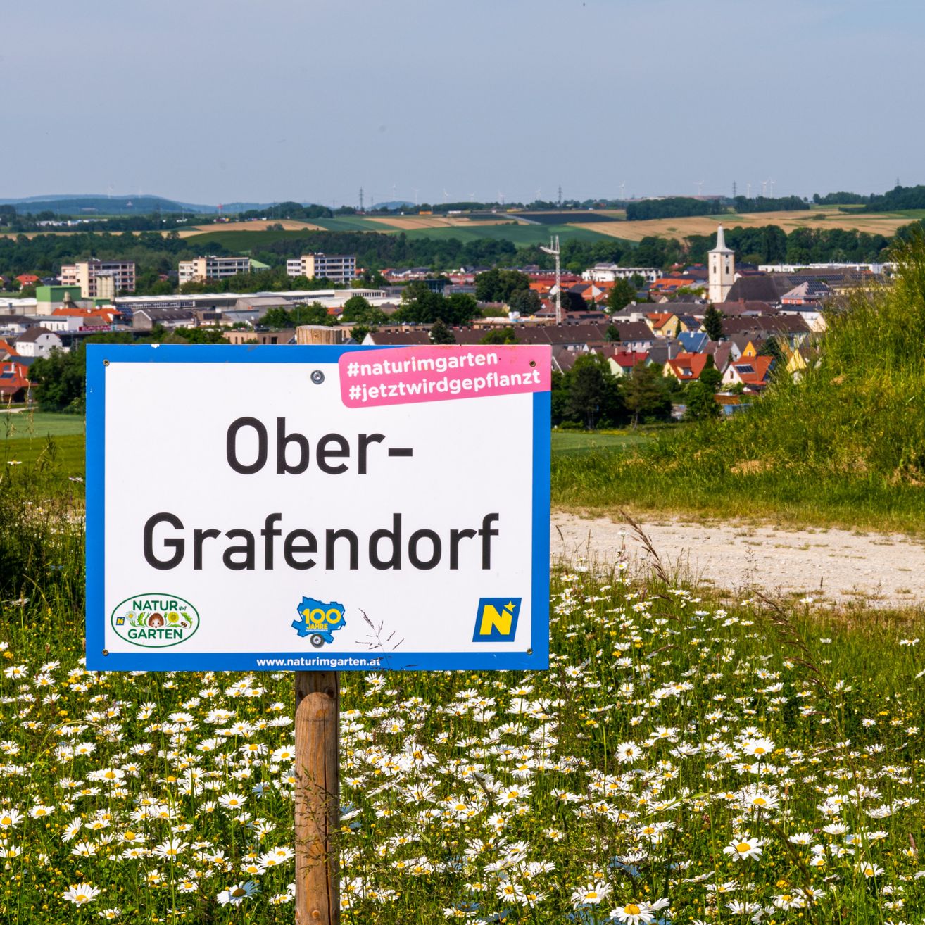 Ein blau-weißes Schild auf einem Holzpfosten mit der Aufschrift 'Ober-Grafendorf' vor einem Hintergrund von Stadt und einem Feld von Gänseblümchen.