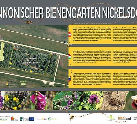 Bild enthält, Agriculture, Field, Nature, Outdoors, Garden, Flower, Plant, Advertisement, Poster, Gardening