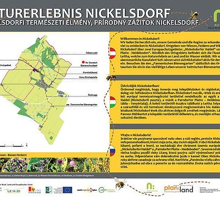 Bild enthält, Chart, Plot, Advertisement, Plant, Vegetation, Poster, Map, Person