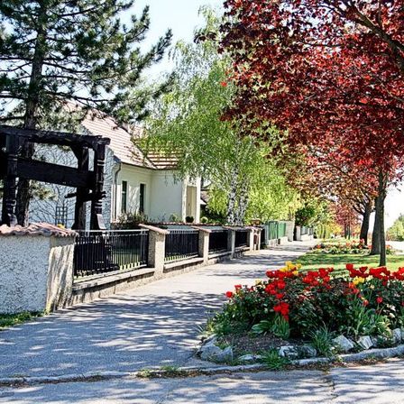 Bild enthält, Outdoors, House, Housing, Villa, City, Neighborhood, Tree, Nature, Scenery, Garden