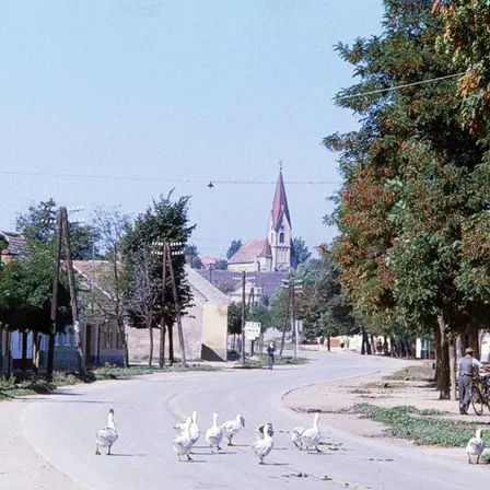 City, Road, Street, Urban, Neighborhood, Spire, Monastery, Person, Bird, Outdoors