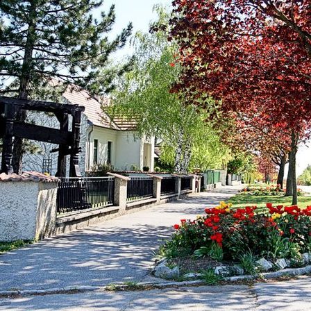 Bild enthält, Outdoors, House, Housing, Villa, City, Neighborhood, Tree, Nature, Scenery, Garden