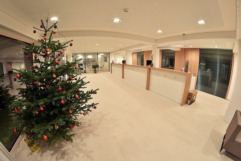 Bild enthält, Plant, Floor, Christmas, Christmas Decorations, Festival, Tree, Christmas Tree, Box, Package, Building