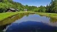 Nature, Outdoors, Scenery, Pond, Water, Landscape, Lake, Grass, Plant