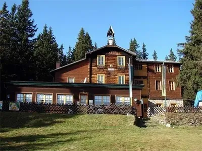 Architecture, Building, Housing, House, Cabin, Plant, Tree