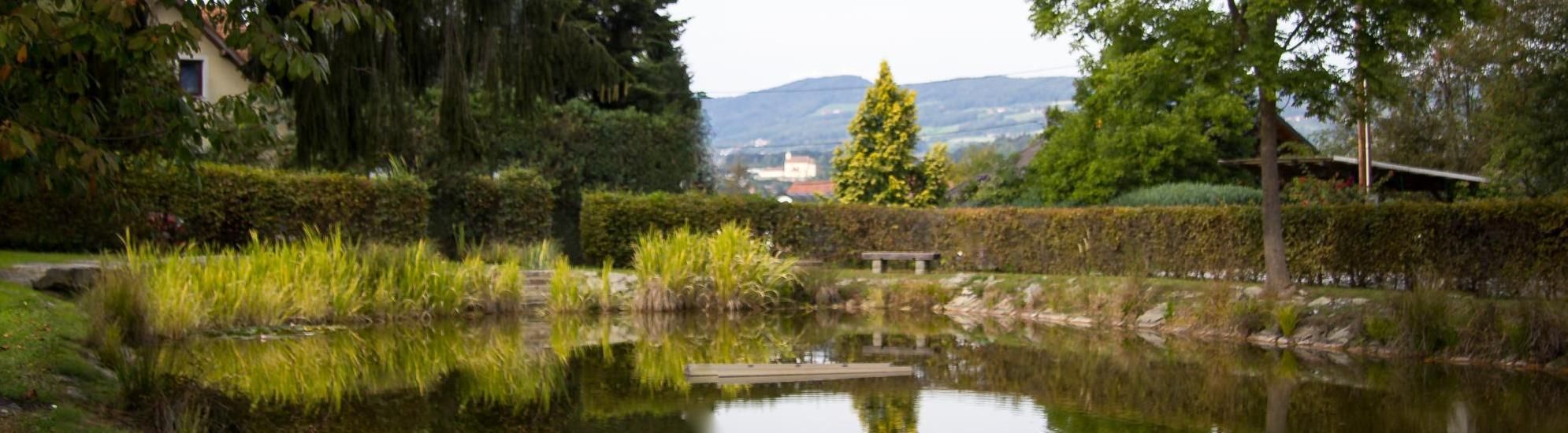 Ein ruhiger Teich mit einer Bank in der Nähe des Heckens, der die üppige Grünfläche und die fernen Hügel unter einem klaren Himmel reflektiert.