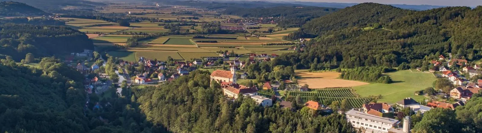 Luftaufnahme eines Dorfes mit Häusern, einer Kirche und Weinbergen, umgeben von grünen Feldern und Bäumen.