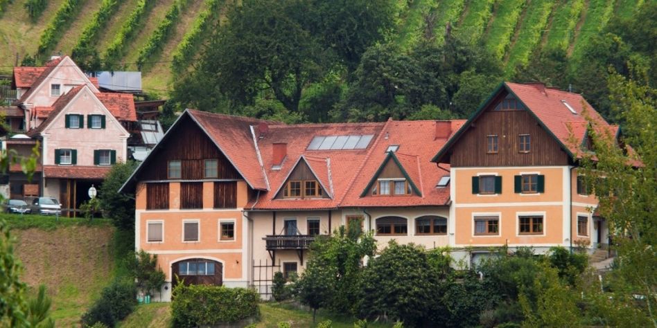 Ein Haus am Hang mit rotem Dach und Solarpanelen, umgeben von Bäumen und Weinberg.