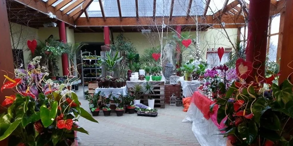 Ein Gewächshaus gefüllt mit einer Vielzahl von Pflanzen und Blumen, einige in Töpfen und andere auf Regalen, geschmückt mit Herzdekorationen.