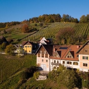 Ein Blick von oben auf ein ländliches Dorf, umgeben von Weinbergen, mit einem großen Haus mit braunem Dach, einem gelben Haus und einer üppigen grünen Landschaft.