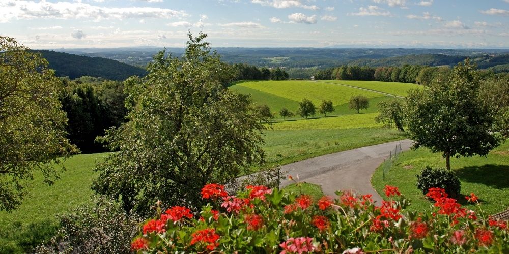 Ein Blick vom Hügel zeigt ein saftiges grünes Feld mit einem gewundenen Pfad, umgeben von Bäumen und Büschen, unter einem bewölkten Himmel.