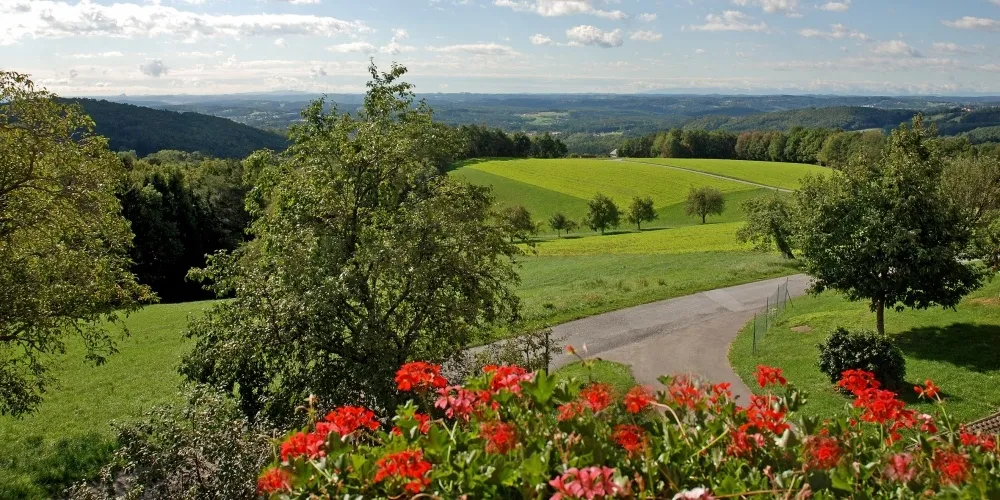 Ein Blick vom Hügel zeigt ein saftiges grünes Feld mit einem gewundenen Pfad, umgeben von Bäumen und Büschen, unter einem bewölkten Himmel.