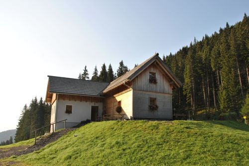 Eine Holzhütte steht auf einem grasbewachsenen Hügel bei klarem Himmel, umgeben von Bäumen. Blumentöpfe schmücken die Fenster und eine Bank ist draußen platziert.