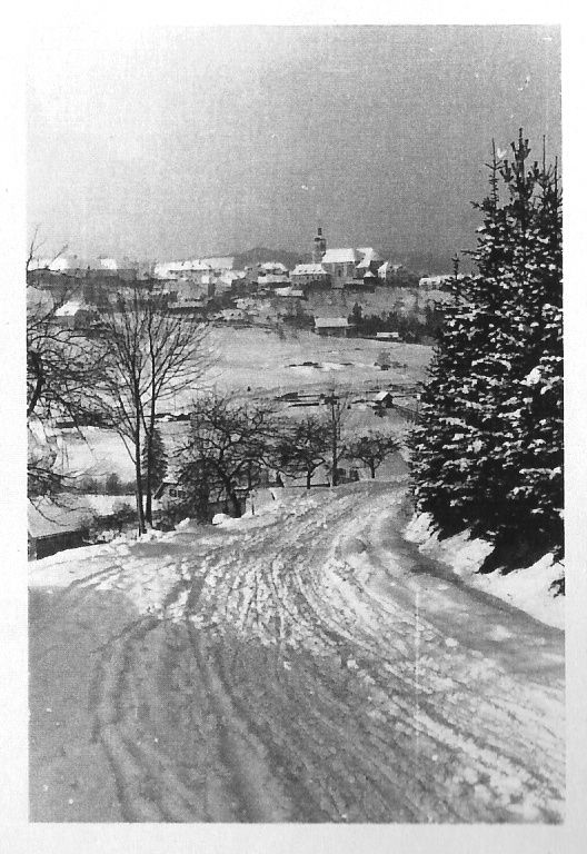Bild enthält, Plant, Tree, Fir, Nature, Outdoors, Winter, Snow, Road