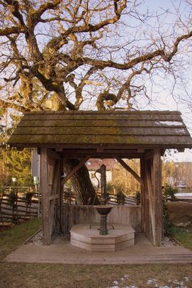 Building, Outdoors, Shelter, Plant, Tree, Wood, House, Housing, Porch, Nature