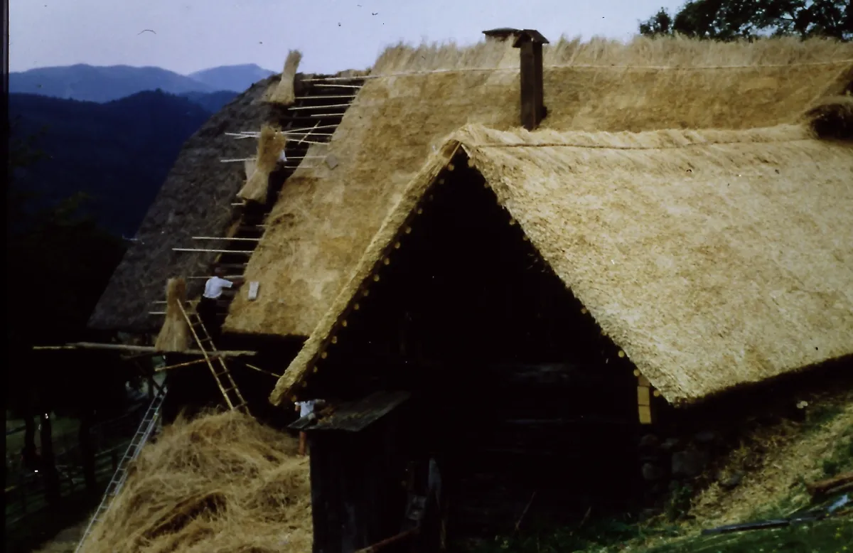 Countryside, Hut, Nature, Outdoors, Rural, Straw, Person, Housing, Shelter, Bird