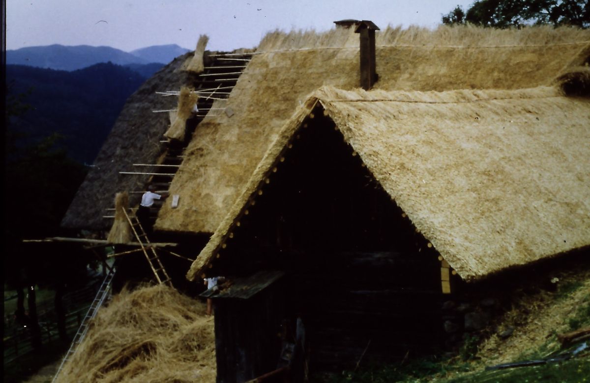 Bild enthält, Countryside, Hut, Nature, Outdoors, Rural, Straw, Person, Housing, Shelter, Bird
