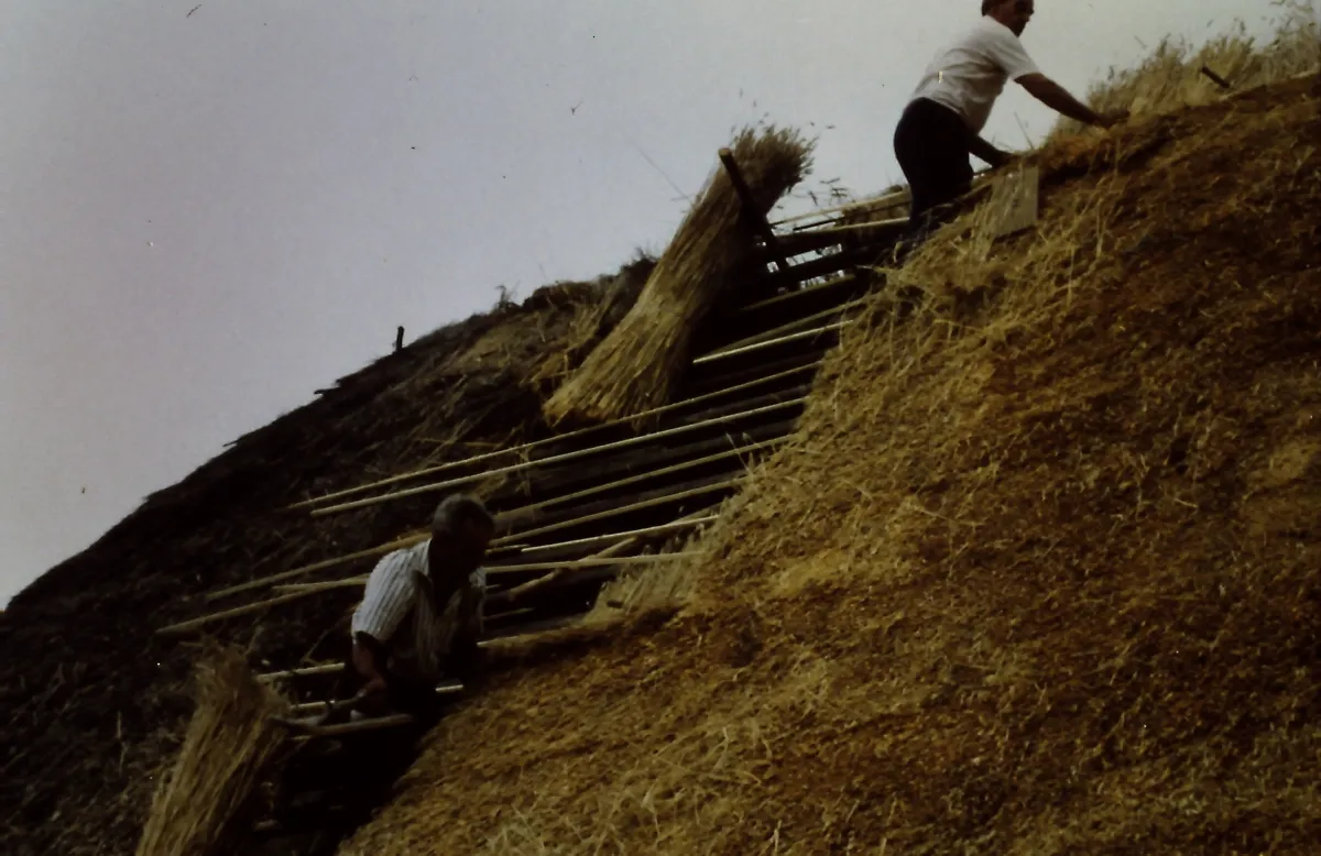 Field, Grassland, Nature, Outdoors, Countryside, Straw, Adult, Male, Man, Person