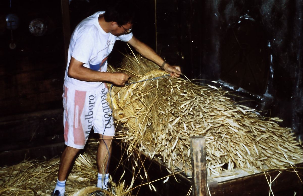 Bild enthält, Countryside, Nature, Outdoors, Straw, Adult, Male, Man, Person, Shorts, Shoe