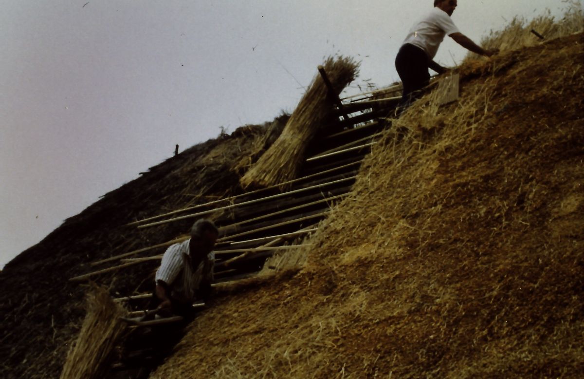 Bild enthält, Field, Grassland, Nature, Outdoors, Countryside, Straw, Adult, Male, Man, Person