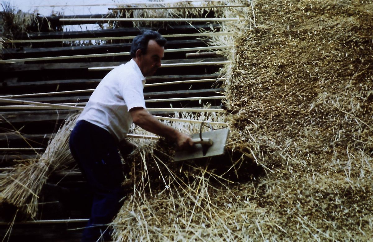 Bild enthält, Countryside, Nature, Outdoors, Straw, Harvest, Agriculture, Adult, Male, Man, Person